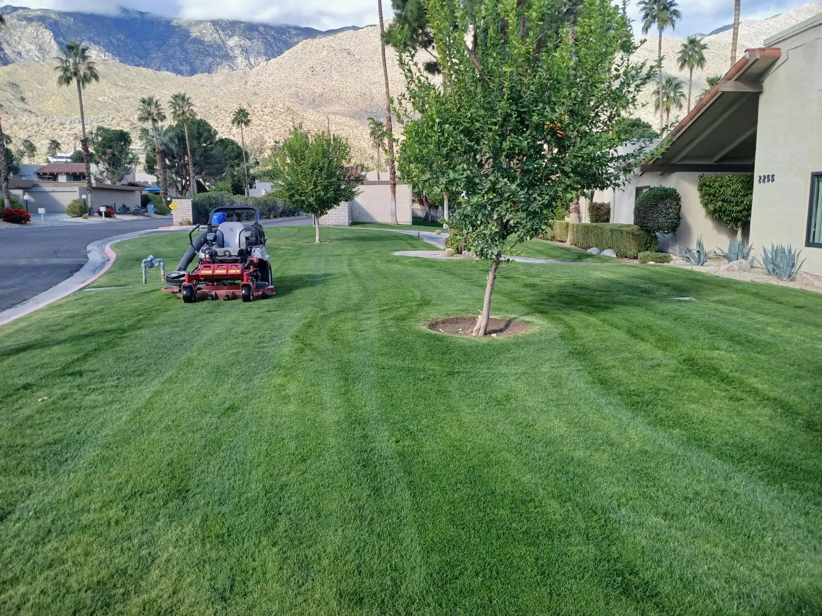HOA